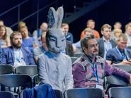 Кролик в зале