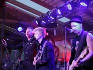 Выступление группы Тараканы, Мандроги, «Белые ночи», 17-20 июня 2015