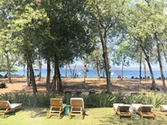 Партнеры «Марвел-Дистрибуции» слетали за счастьем в Коста-Рику