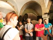 Экскурсия в погребах