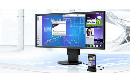 NEC MultiSync EA294WMi NEC MultiSync EA294WMi